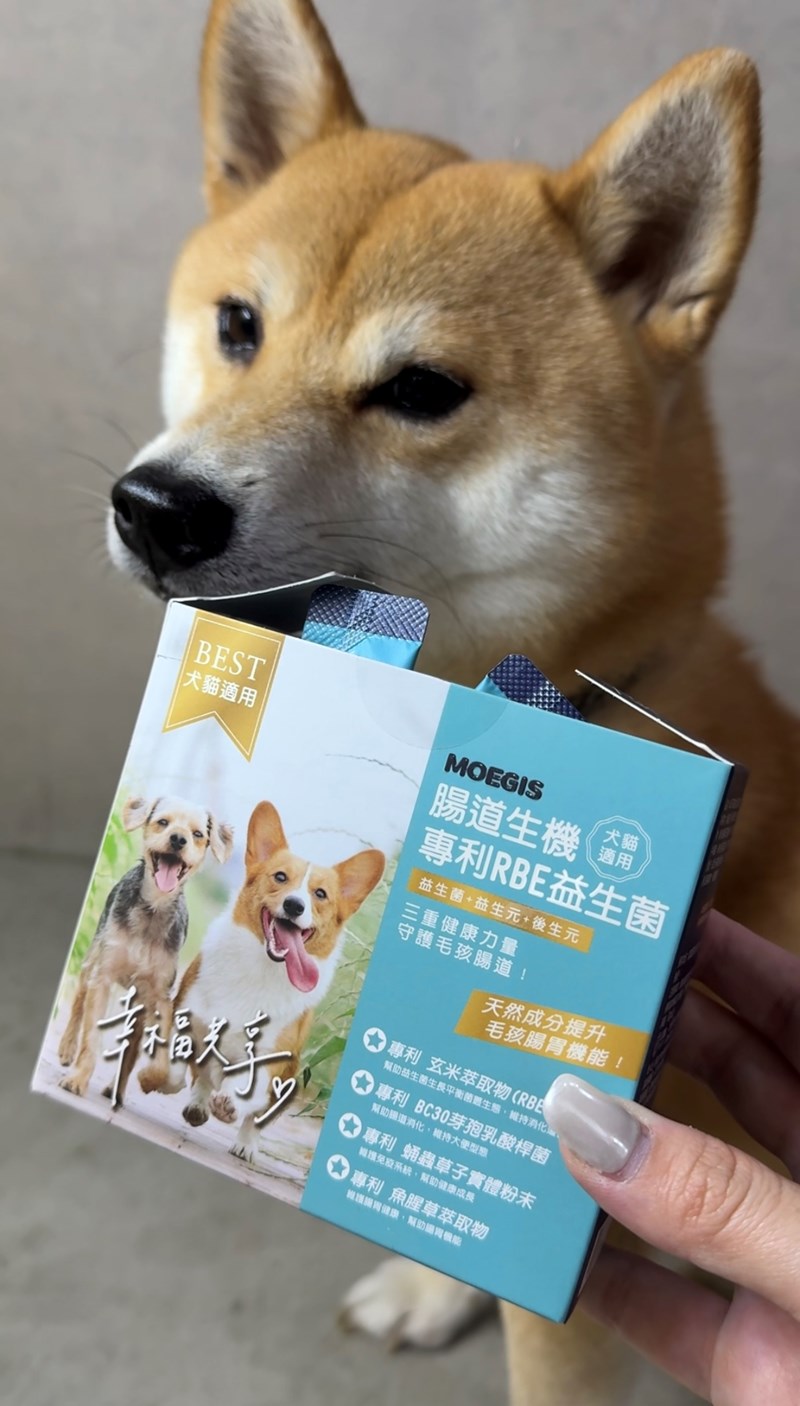 女人知己試用大隊,口碑行銷,部落客行銷,Moegis萌吉 腸道生機專利RBE益生菌,寵物益生菌,專利RBE益生元,專利蔬果酵素,小分子胜肽,藍藻粉,維持免疫力,幫助維持消化道機能,維持正常食慾,改變細菌叢生態,腸胃保健,犬貓適用